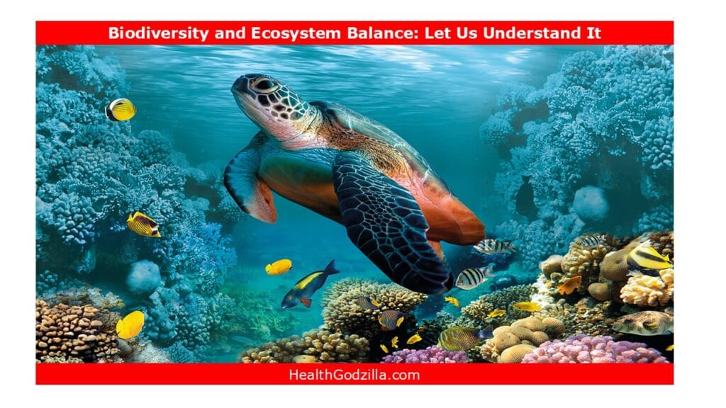 Sea turtle swimming in a coral reef, symbolizing biodiversity and ecosystem balance, essential for marine life and global health.