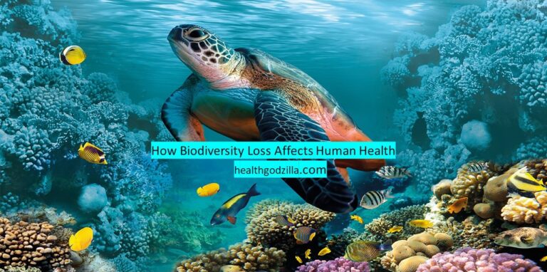 How Biodiversity Loss Affects Human Health