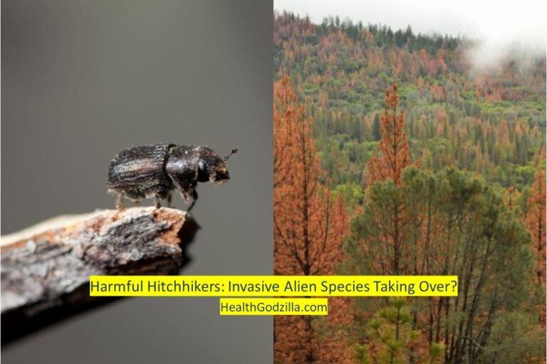 Harmful Hitchhikers: Invasive Alien Species Taking Over?